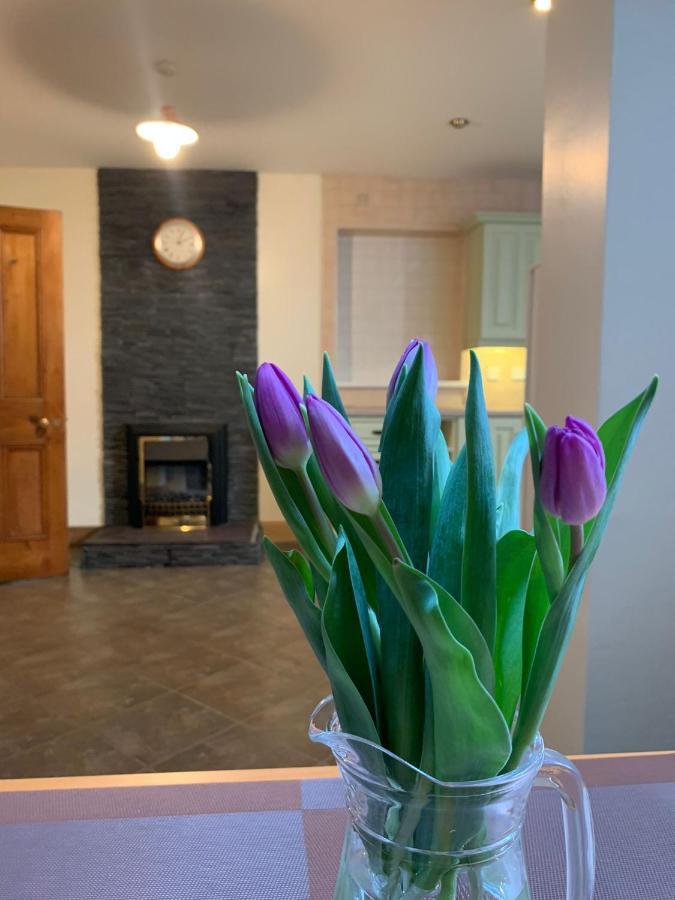 Ringfort Manor Rathfriland Eksteriør bilde